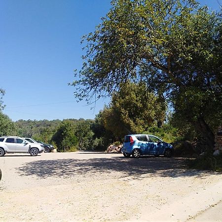 Quinta Dos Valados Bed & Breakfast Querenca Dış mekan fotoğraf