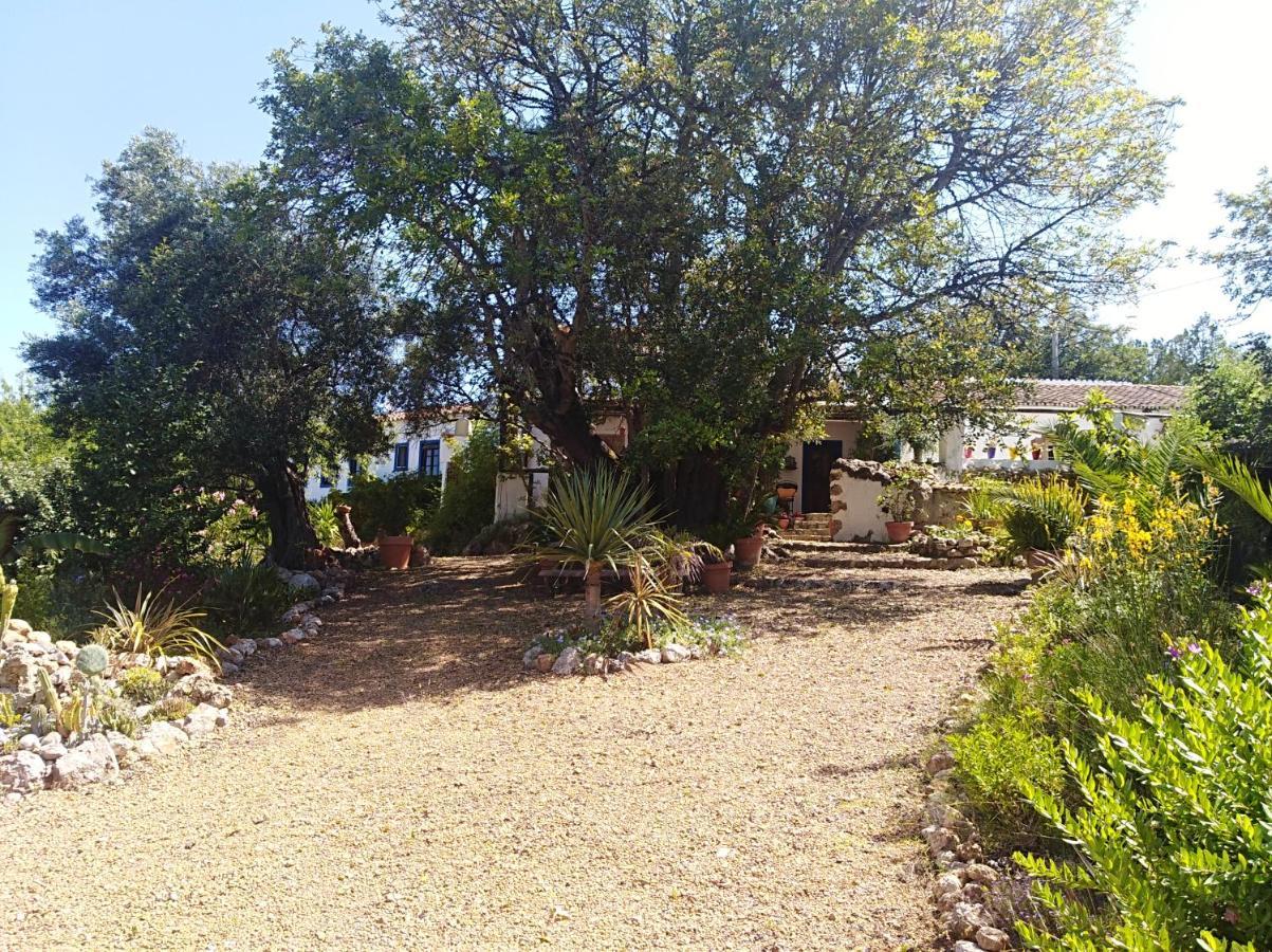 Quinta Dos Valados Bed & Breakfast Querenca Dış mekan fotoğraf